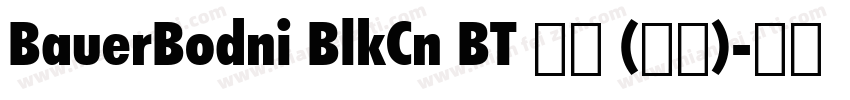 BauerBodni BlkCn BT 普通 (西方)字体转换